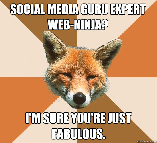 Social media guru expert web-ninja?
 I'm sure you're just fabulous.  Condescending Fox
