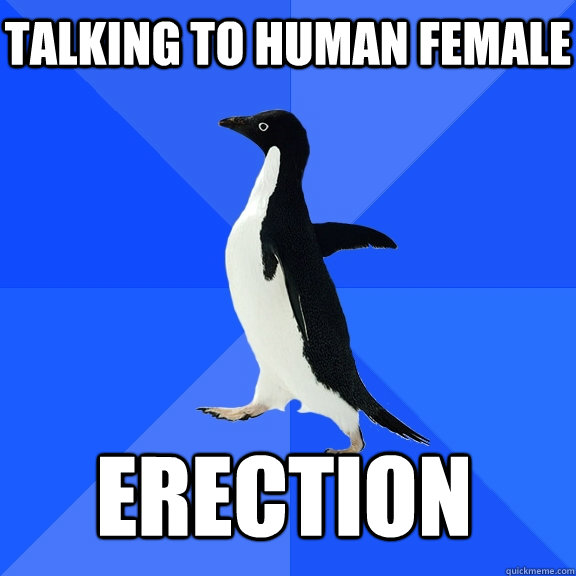 Talking to human female ERECTION  Socially Awkward Penguin