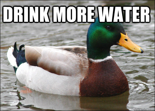 Drink more water   Actual Advice Mallard