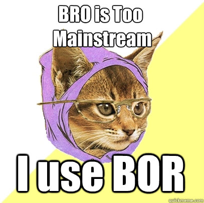 BRO is Too
 Mainstream I use BOR  Hipster Kitty
