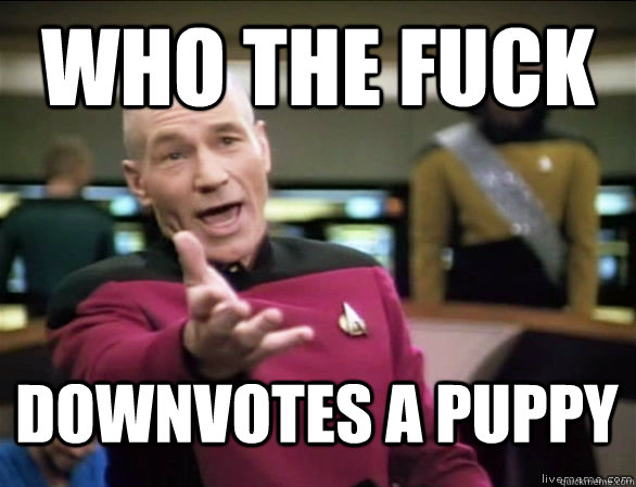 who the fuck downvotes a puppy  Annoyed Picard HD