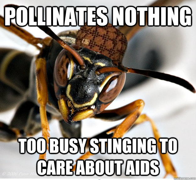 POLLINATES NOTHING TOO BUSY STINGING TO CARE ABOUT AIDS - POLLINATES NOTHING TOO BUSY STINGING TO CARE ABOUT AIDS  Misc