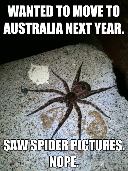 Wanted to move to Australia next year. Saw spider pictures.
Nope. - Wanted to move to Australia next year. Saw spider pictures.
Nope.  HORRIBLE SPIDER!
