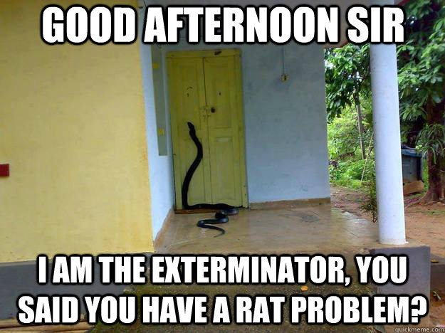 Good afternoon sir I am the exterminator, you said you have a rat problem? - Good afternoon sir I am the exterminator, you said you have a rat problem?  Jehovas snake