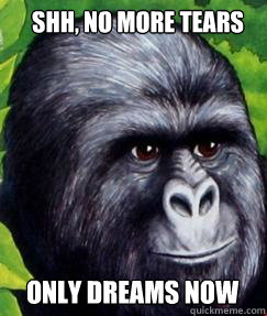 Shh, no more tears Only dreams now  gorilla munch