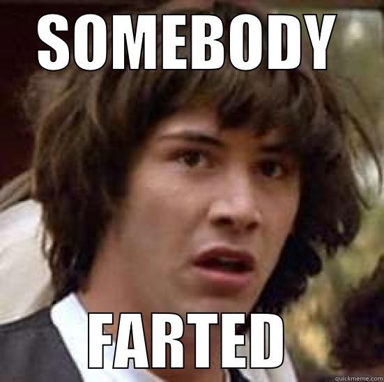 SOMEBODY FARTED - SOMEBODY FARTED conspiracy keanu