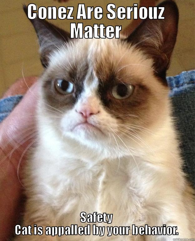 Safety Cat - CONEZ ARE SERIOUZ MATTER SAFETY CAT IS APPALLED BY YOUR BEHAVIOR. Misc