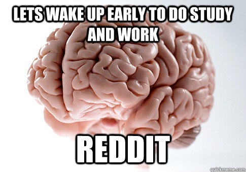 Lets Wake up early to do study and work REDDIT  Scumbag Brain