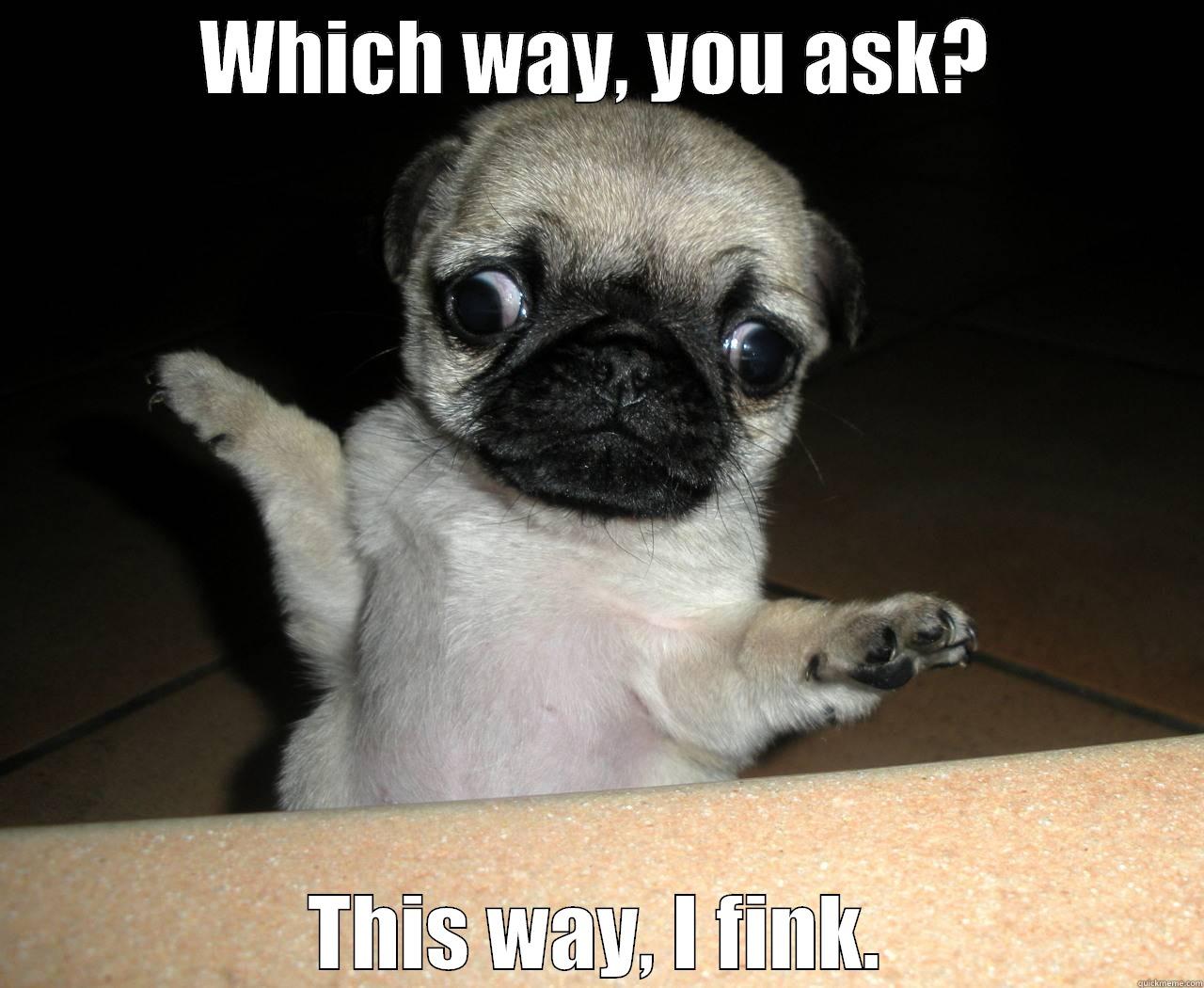 WHICH WAY, YOU ASK? THIS WAY, I FINK. Misc