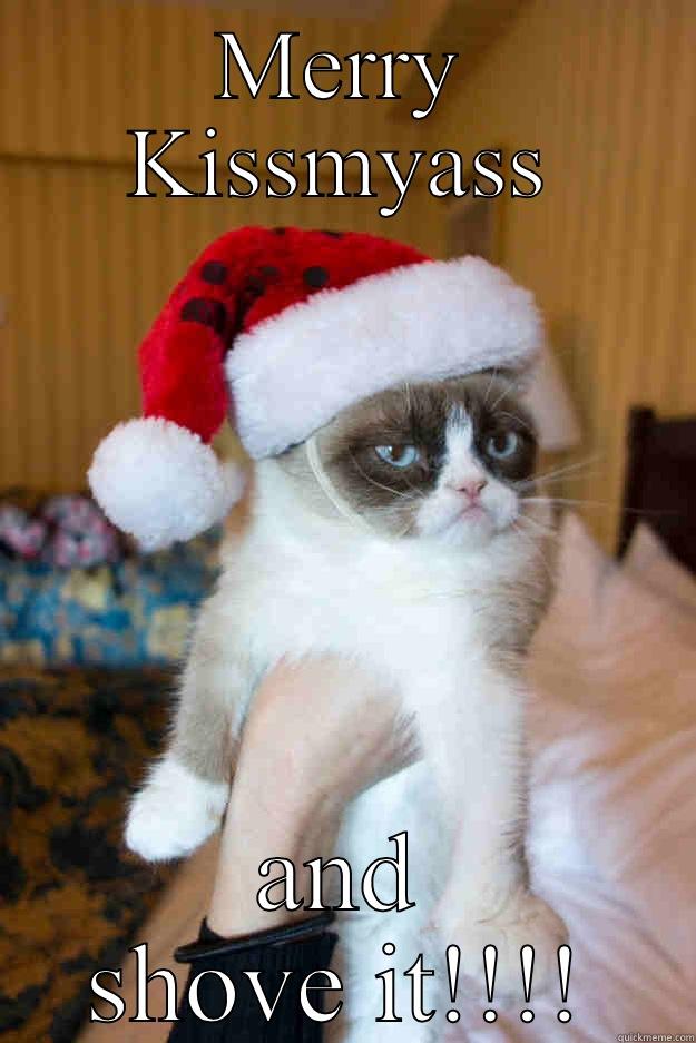 Grumpy Cat greets Christmas - MERRY KISSMYASS AND SHOVE IT!!!! Grumpy xmas