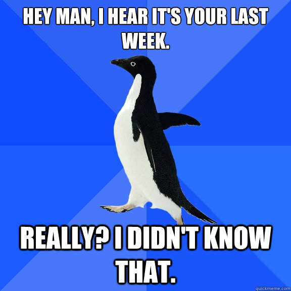 Hey man, i hear it's your last week. Really? I didn't know that.  Socially Awkward Penguin