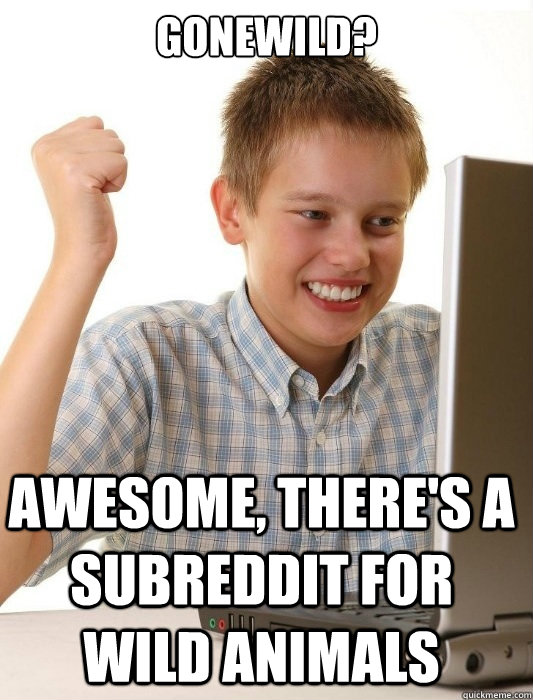 Gonewild? Awesome, there's a subreddit for wild animals  First Day on the Internet Kid