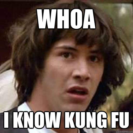 Whoa I know Kung fu  conspiracy keanu