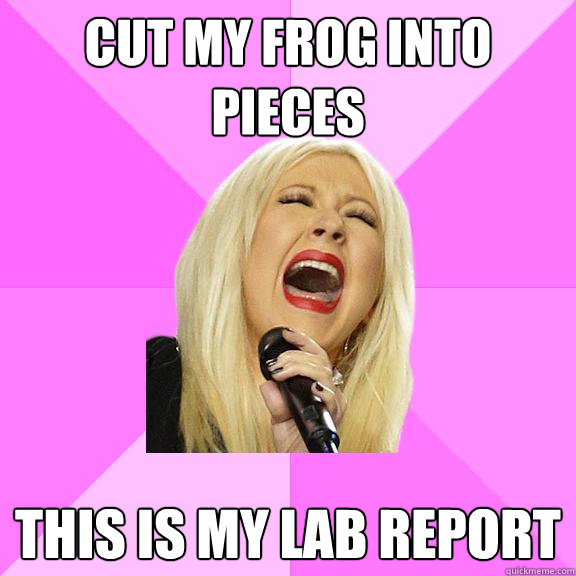 CUT MY FROG INTO PIECES THIS IS MY LAB REPORT  Wrong Lyrics Christina
