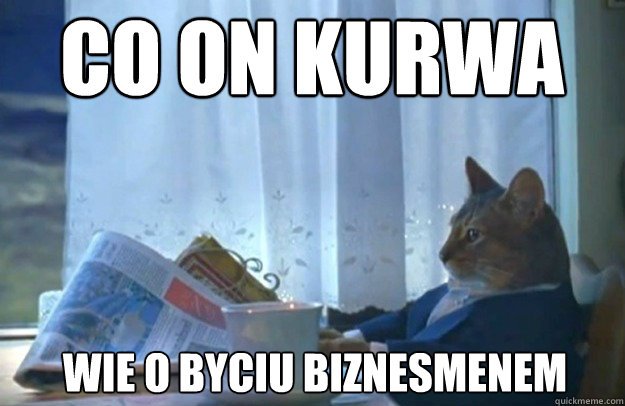 CO ON KURWA Wie o byciu biznesmenem  Sophisticated Cat