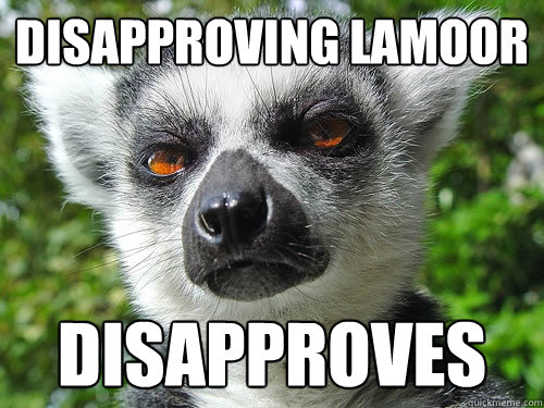 Disapproving Lamoor Disapproves - Disapproving Lamoor Disapproves  Disapproving Lemur