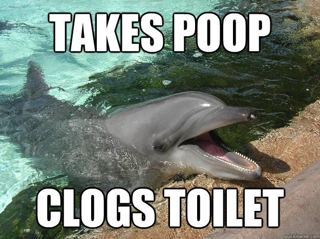 Takes poop Clogs toilet  