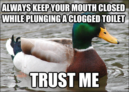 Always keep your mouth closed while plunging a clogged toilet trust me  Actual Advice Mallard