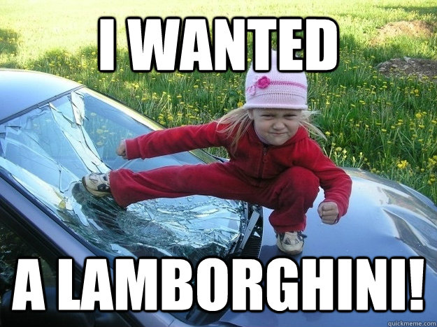 i wanted a lamborghini!  lamborghini