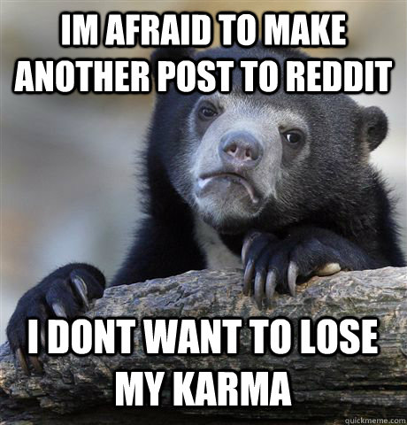 Im afraid to make another post to reddit I dont want to lose my karma  Confession Bear