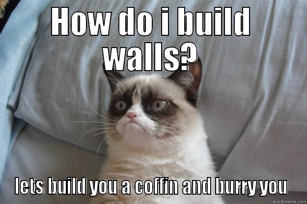HOW DO I BUILD WALLS? LETS BUILD YOU A COFFIN AND BURRY YOU Grumpy Cat
