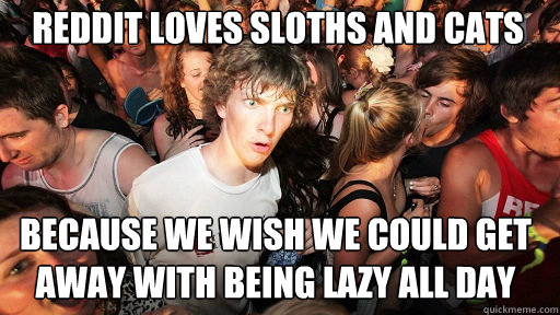 Reddit Loves sloths and cats because we wish we could get away with being lazy all day  Sudden Clarity Clarence