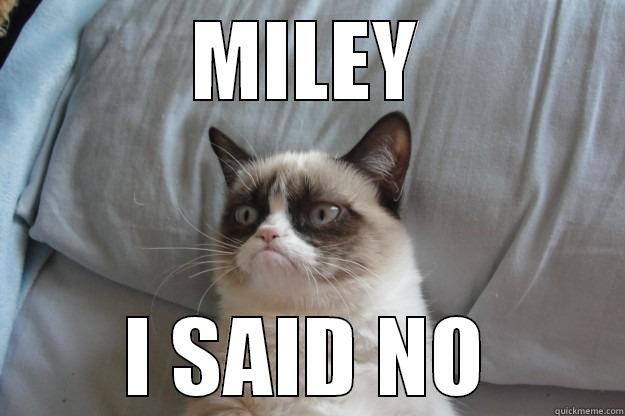 MILEY I SAID NO Grumpy Cat