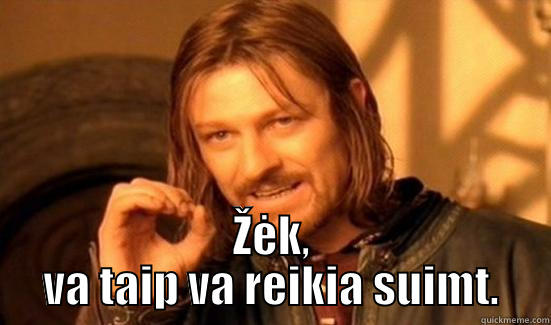  ŽĖK, VA TAIP VA REIKIA SUIMT. Boromir