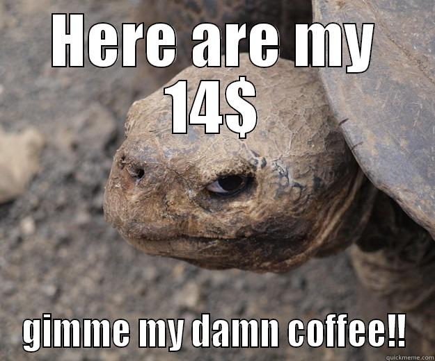 HERE ARE MY 14$ GIMME MY DAMN COFFEE!! Angry Turtle