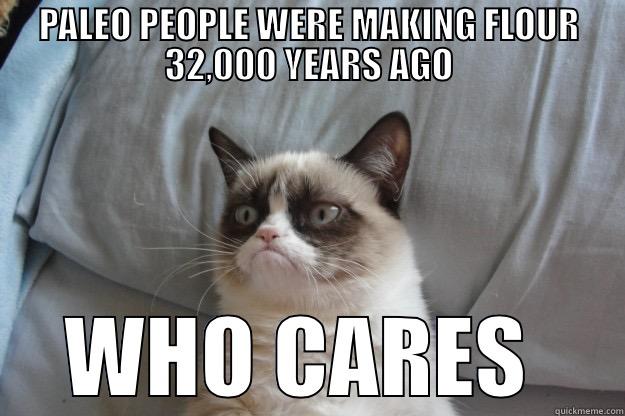 :P io - PALEO PEOPLE WERE MAKING FLOUR 32,000 YEARS AGO WHO CARES  Grumpy Cat