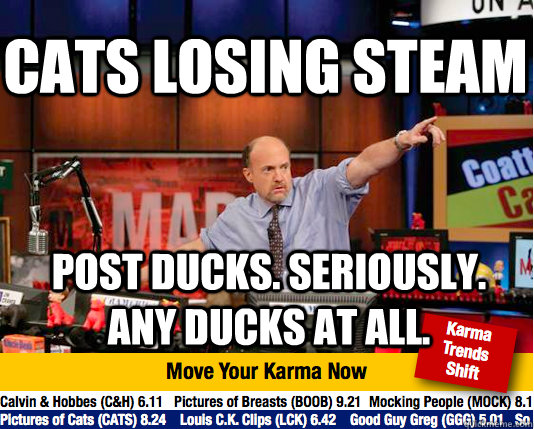 Cats losing steam Post ducks. Seriously. Any ducks at all.  Mad Karma with Jim Cramer