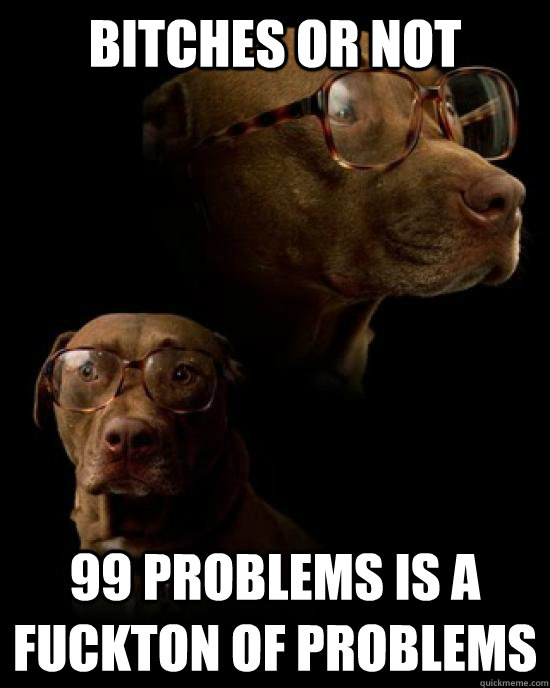 Bitches or not 99 problems is a fuckton of problems  Karate Kyle Dog