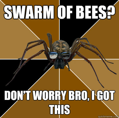 Swarm of bees? Don't worry bro, I got this - Swarm of bees? Don't worry bro, I got this  Spiderbro