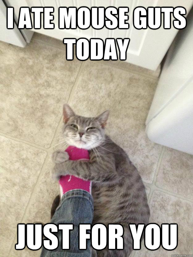 i ate mouse guts today Just for you  