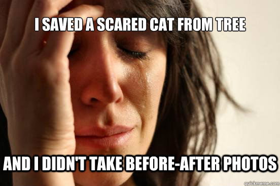 I saved a scared cat from tree and i didn't take before-after photos  First World Problems