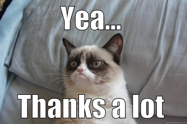 YEA... THANKS A LOT Grumpy Cat