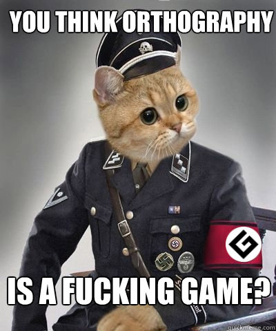 You think Orthography  IS A FUCKING GAME? - You think Orthography  IS A FUCKING GAME?  Spelling Nazi Cat