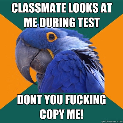 CLASSMATE LOOKS AT ME DURING TEST DONT YOU FUCKING COPY ME!  Paranoid Parrot