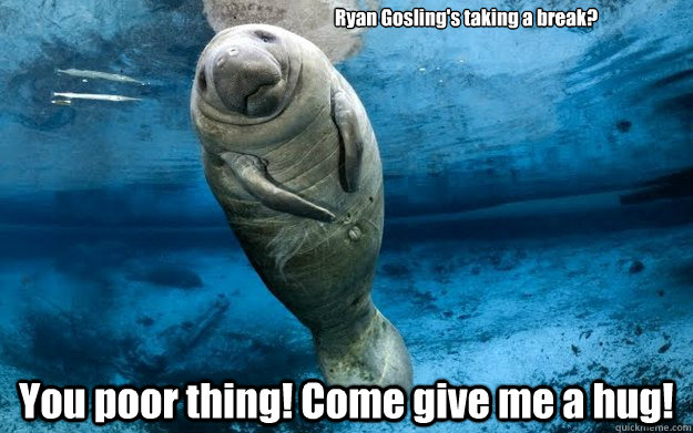 Ryan Gosling's taking a break? You poor thing! Come give me a hug!   calming manatee