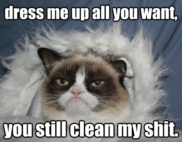 dress me up all you want, you still clean my shit.  