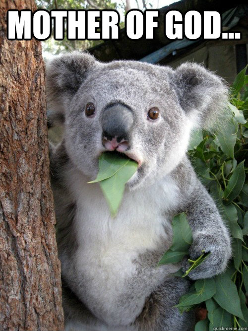Mother of god...   koala bear