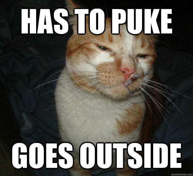 has to puke goes outside  Cool Cat Craig