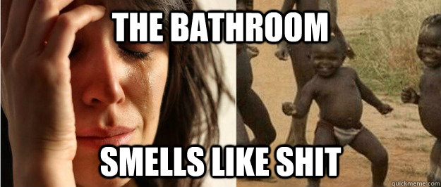 The bathroom smells like shit  First world problem third world success