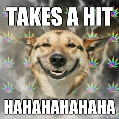 Takes a hit hahahahahaha  Stoner Dog