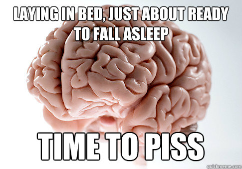 LAYING IN BED, JUST ABOUT READY TO FALL ASLEEP TIME TO PISS   Scumbag Brain