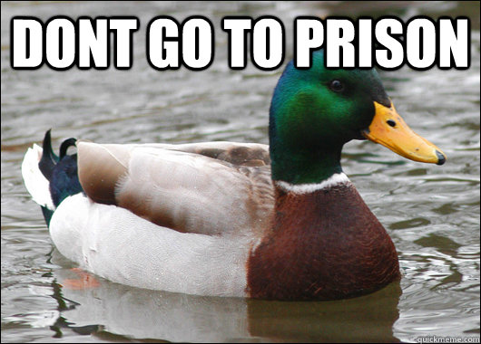 Dont go to prison   Actual Advice Mallard