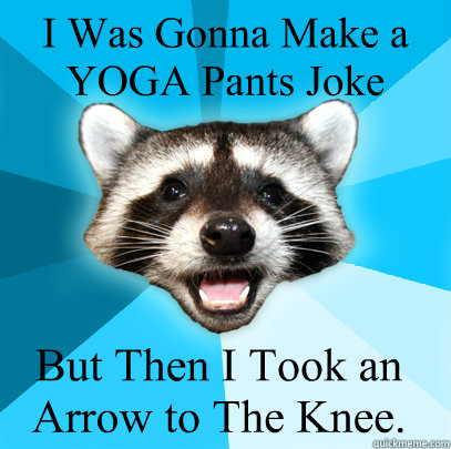 I Was Gonna Make a YOGA Pants Joke But Then I Took an Arrow to The Knee.  Lame Pun Coon