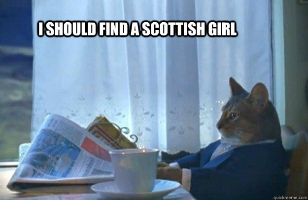 I should find a Scottish girl - I should find a Scottish girl  Sophisticated Cat
