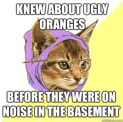 Knew about ugly oranges Before they were on Noise in the basement  Hipster cat knowledge