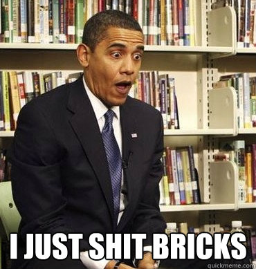  I just shit bricks -  I just shit bricks  Obama-Bricks